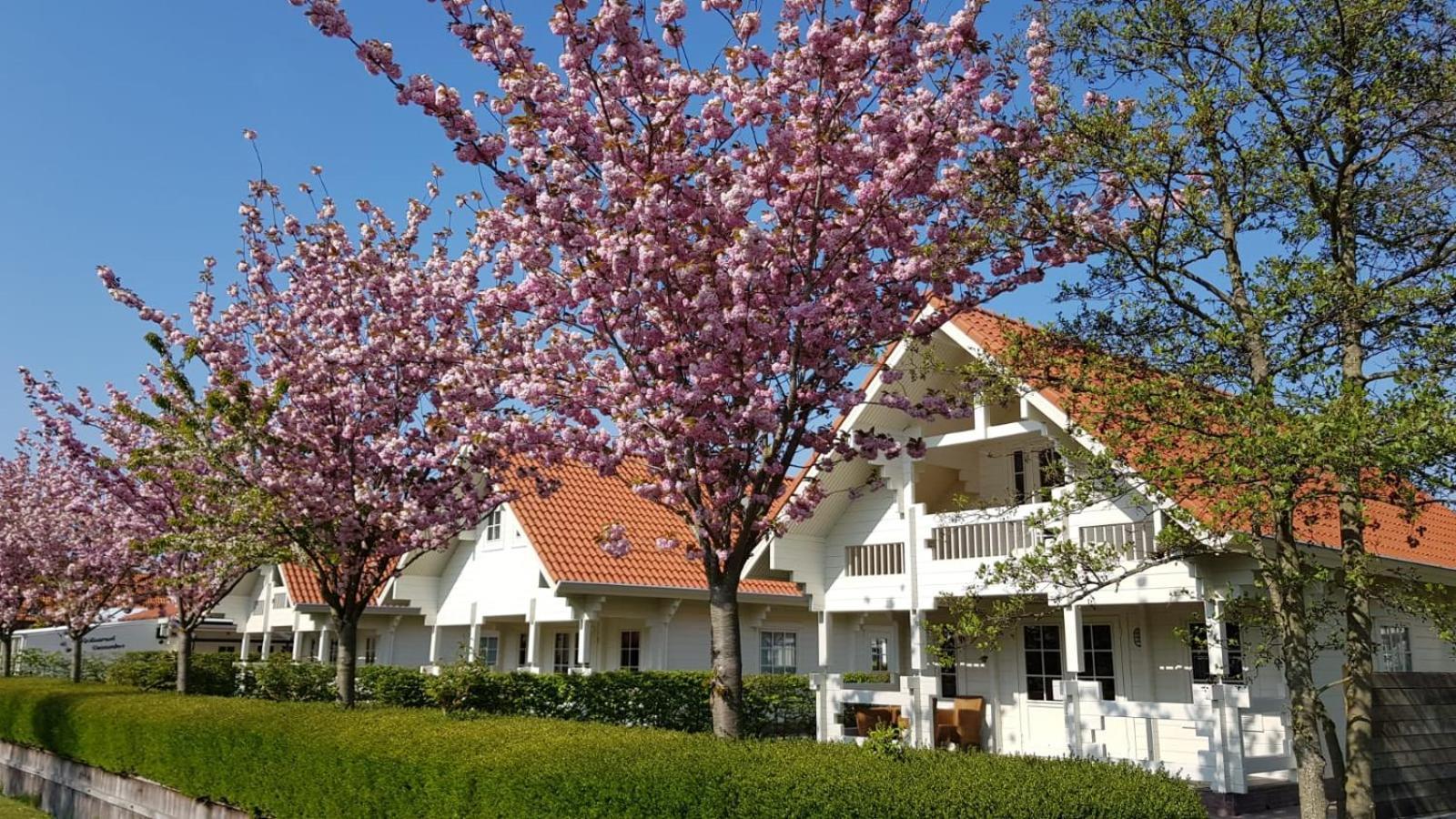 Holiday Park Dennenbos Oostkapelle Eksteriør bilde