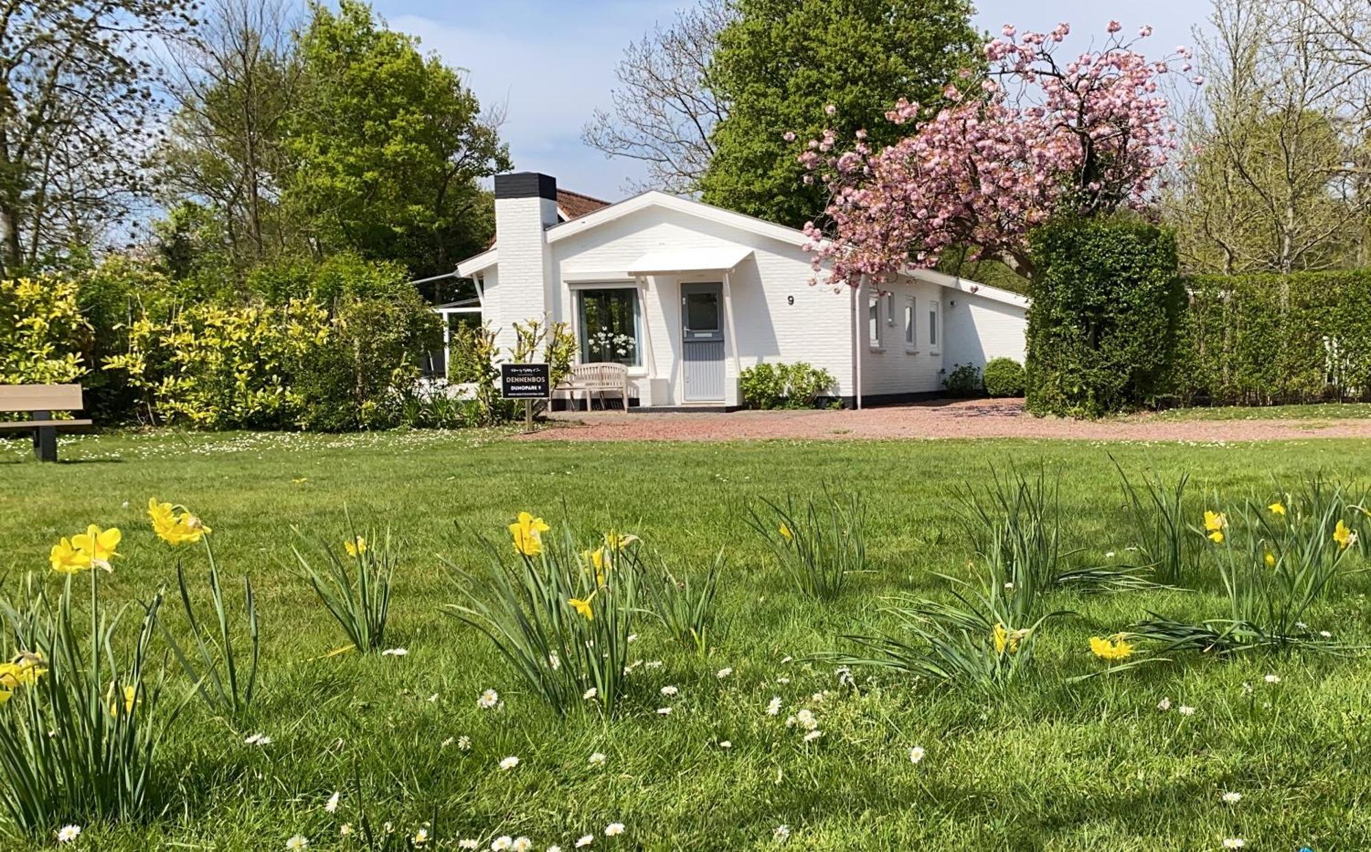 Holiday Park Dennenbos Oostkapelle Eksteriør bilde